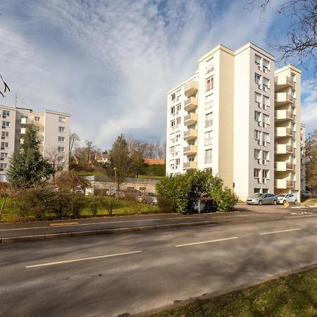 Travel Homes - Le Rebberg, Superbe Vue A Mulhouse Exterior photo